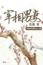 Nam thê của Tể tướng