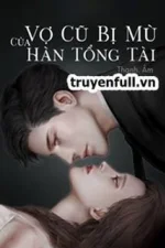 Vợ Cũ Bị Mù Của Hàn Tổng Tài