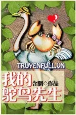 Mr Đà Điểu Của Tôi