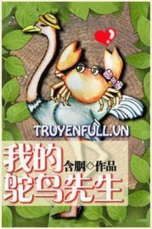 Mr Đà Điểu Của Tôi