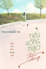 Tiểu Hồng Mạo Tấn Công