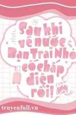 Sau Khi Về Nước, Bạn Trai Nhỏ Cố Chấp Điên Rồi