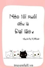 Mèo Tôi Nuôi Đều Là Đại Lão
