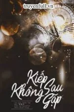 Kiếp Sau Không Gặp